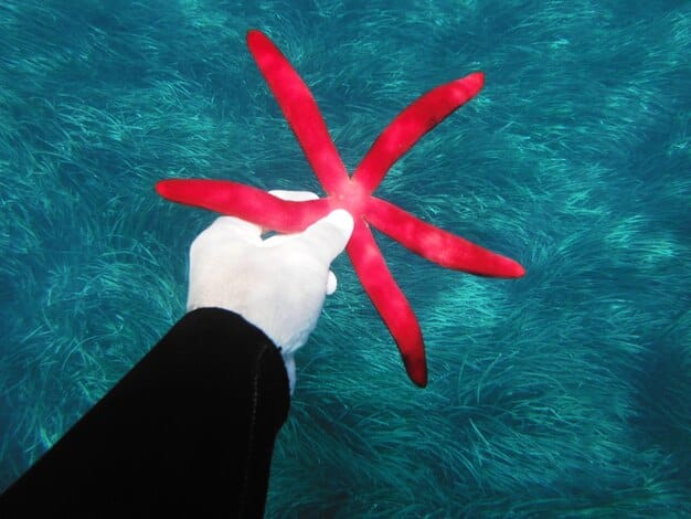 A close-up of a contestant in Squid Game, displaying a mix of fear, desperation, and determination, capturing the emotional intensity of the series.